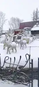 Грань Алтая - 20