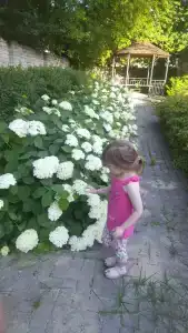Багаж - 11