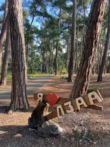 Фламинго - 1