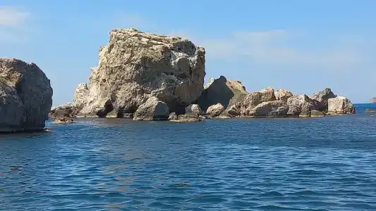 Хвоя - 14