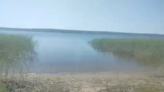 Лотос - 7