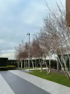 Crowne Plaza Florya Istanbul, an IHG - 58