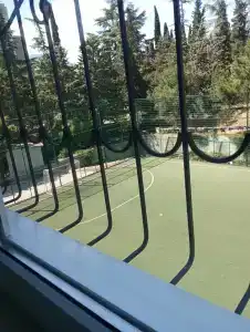 Спорт - 24