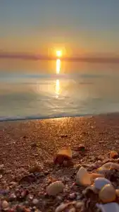 Азов Бриз - 78