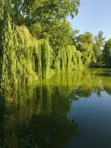 Хутор Калина Красная - 30