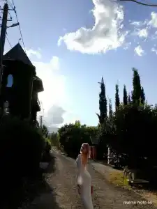 Замок Алустон - 22