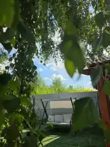 Две берёзки - 32