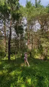 Лисица - 6
