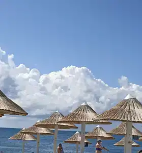 Hidens - 2