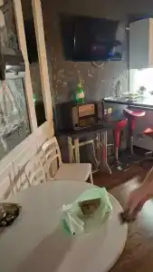 Фламинго на Тургенева - 45