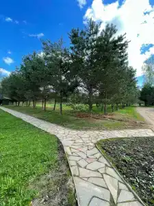 Романов дача - 26