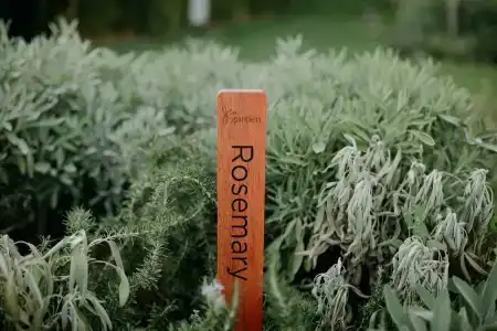 Jw Marriott Istanbul Marmara Sea - 45