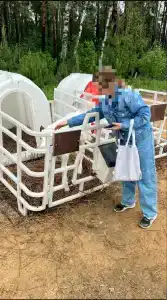 Буренкино Царство - 18