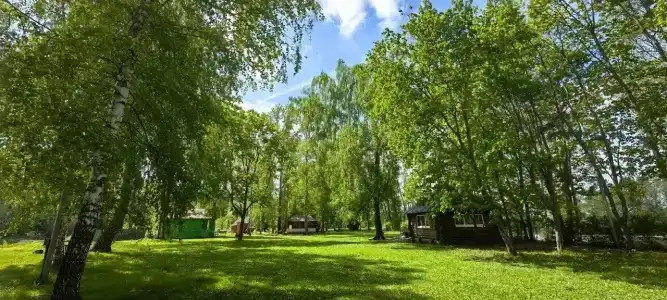 Зеленая роща - 26