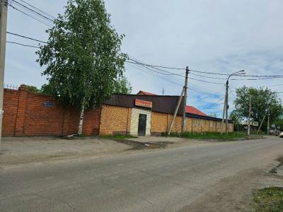 Патрина - 5