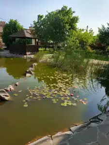 Лазурное - 2
