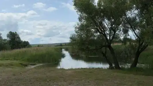 Старый мирошник - 10