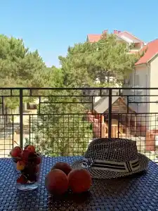 Дом друзей - 50