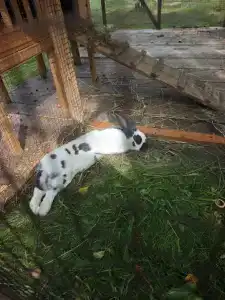 Серебряный Ключ - 74