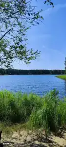 Турбаза завода им. Фрунзе - 19