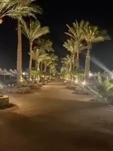 Bel Air Azur Resort (Adults Only) - 10