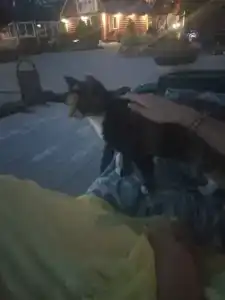 Волшебный Сад - 73