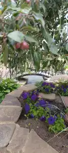 Загородное - 84