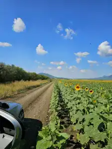 Широкая балка - 21