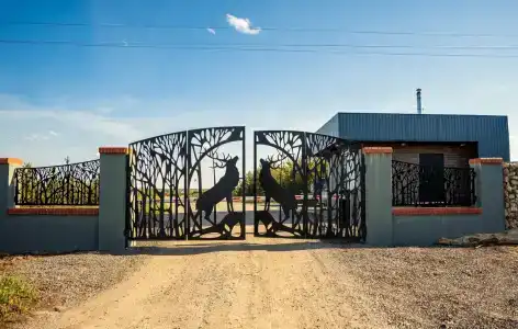 Королевская охота - 25