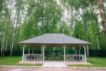 Березка - 33