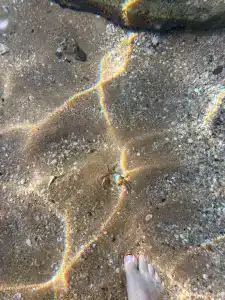 Кристалл - 84