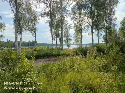 Титеево - 15
