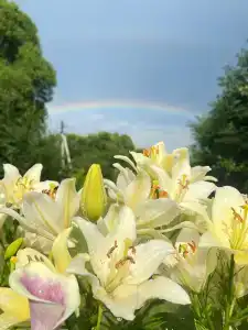 Светлана - 15