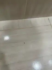 у берега Нерчи - 39