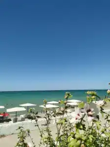 Дом друзей - 47