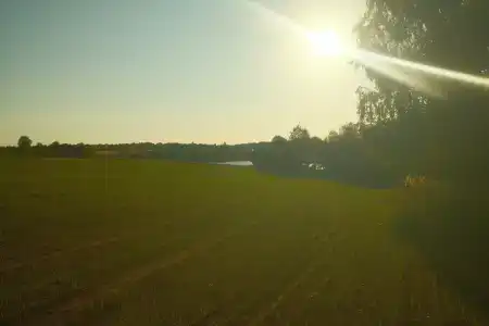 Птички - 40