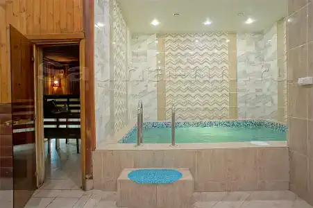 Багира - 18