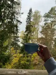 Лада Holiday - 47