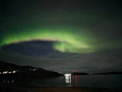 Арктик серф - 81