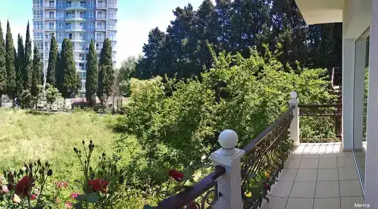 Мечта - 21