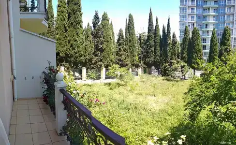 Мечта - 69
