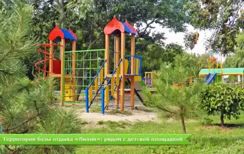 Лилия - 10