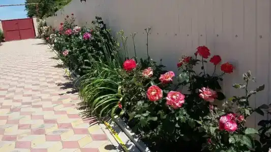 Морская, 51 - 60