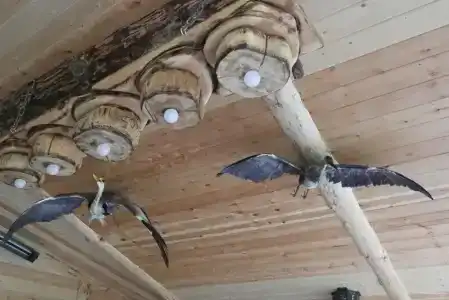 У Борисыча - 23