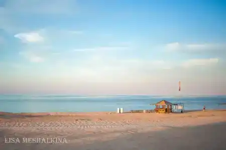 Серфприют - 23