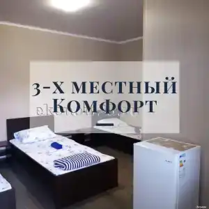 Виктория - 13