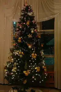 Санаторий Солнечный - 24