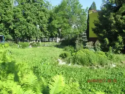 Ласточка - 3