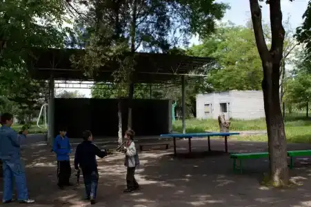Ромашка - 1