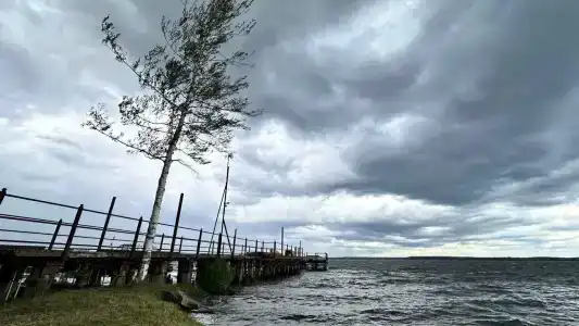 Липня - 1